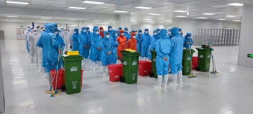 提前35天！TCL華星印度模組廠首片產品成功點亮，智能制造再提速