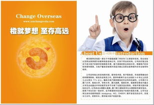 橙至教育咨詢 點(diǎn)亮未來之路的專業(yè)先鋒